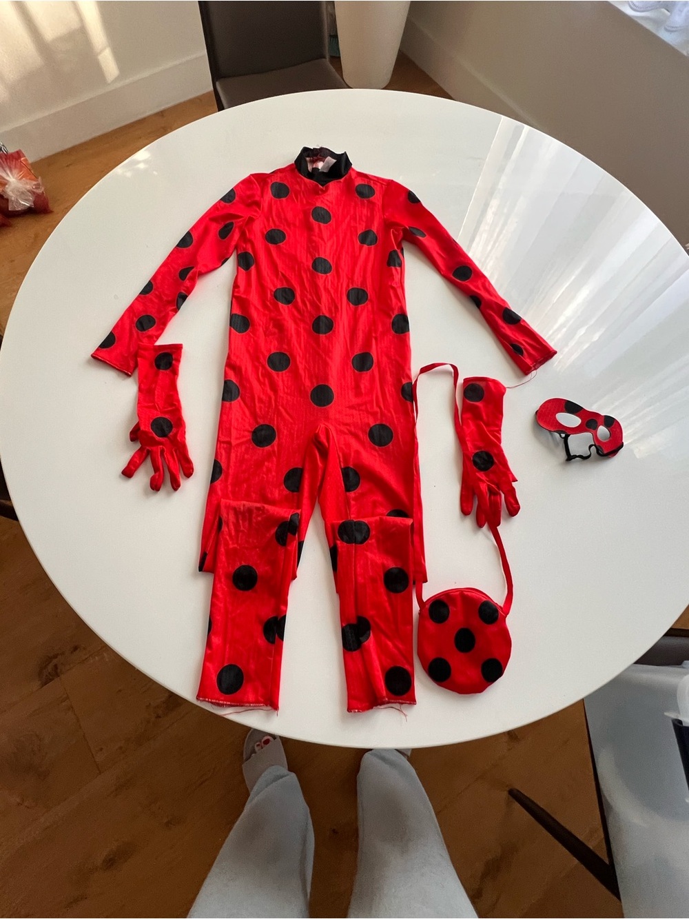 Kids Ladybug Costume Set - Red with Black Spots